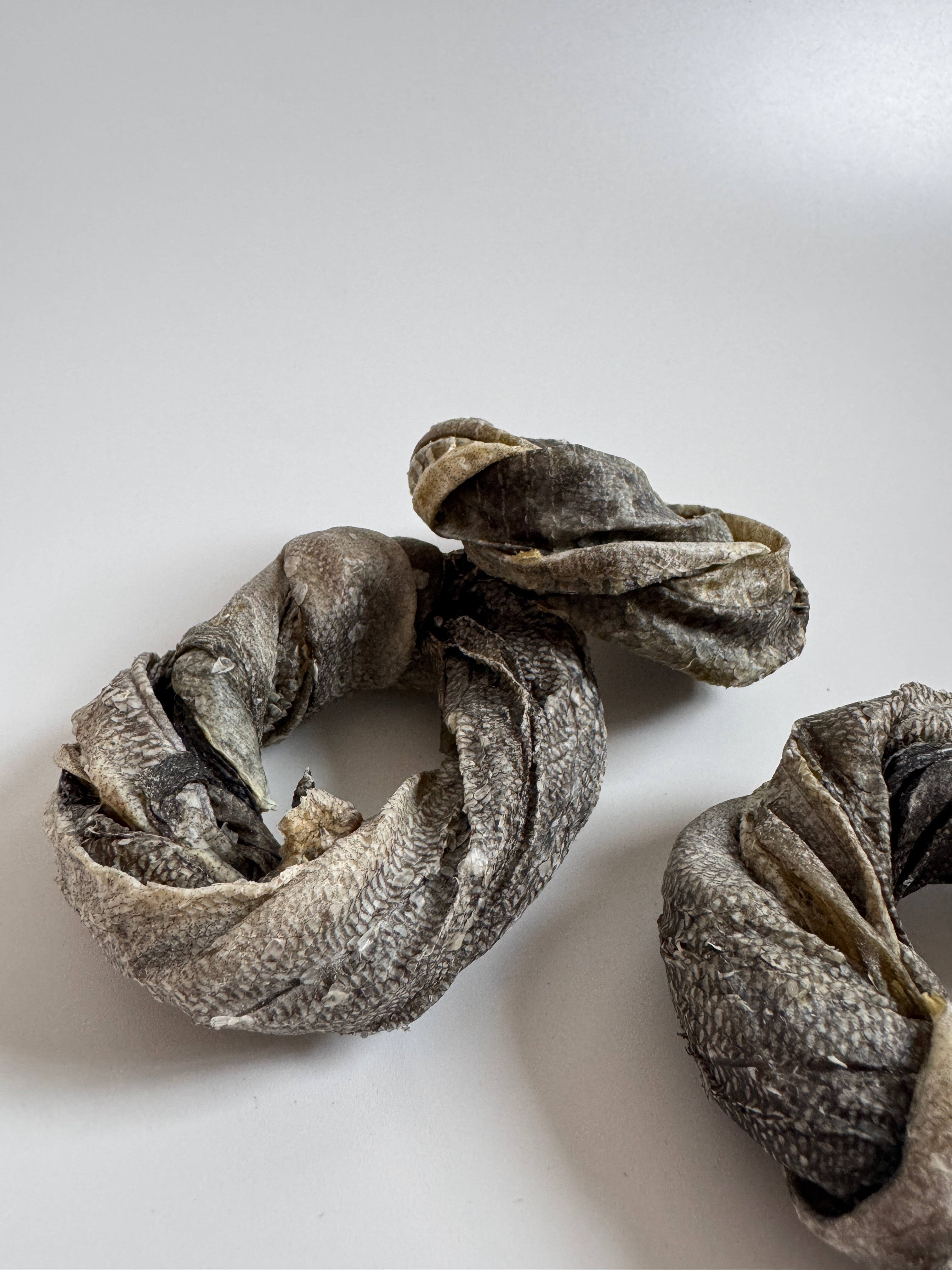 Kabeljau Donut