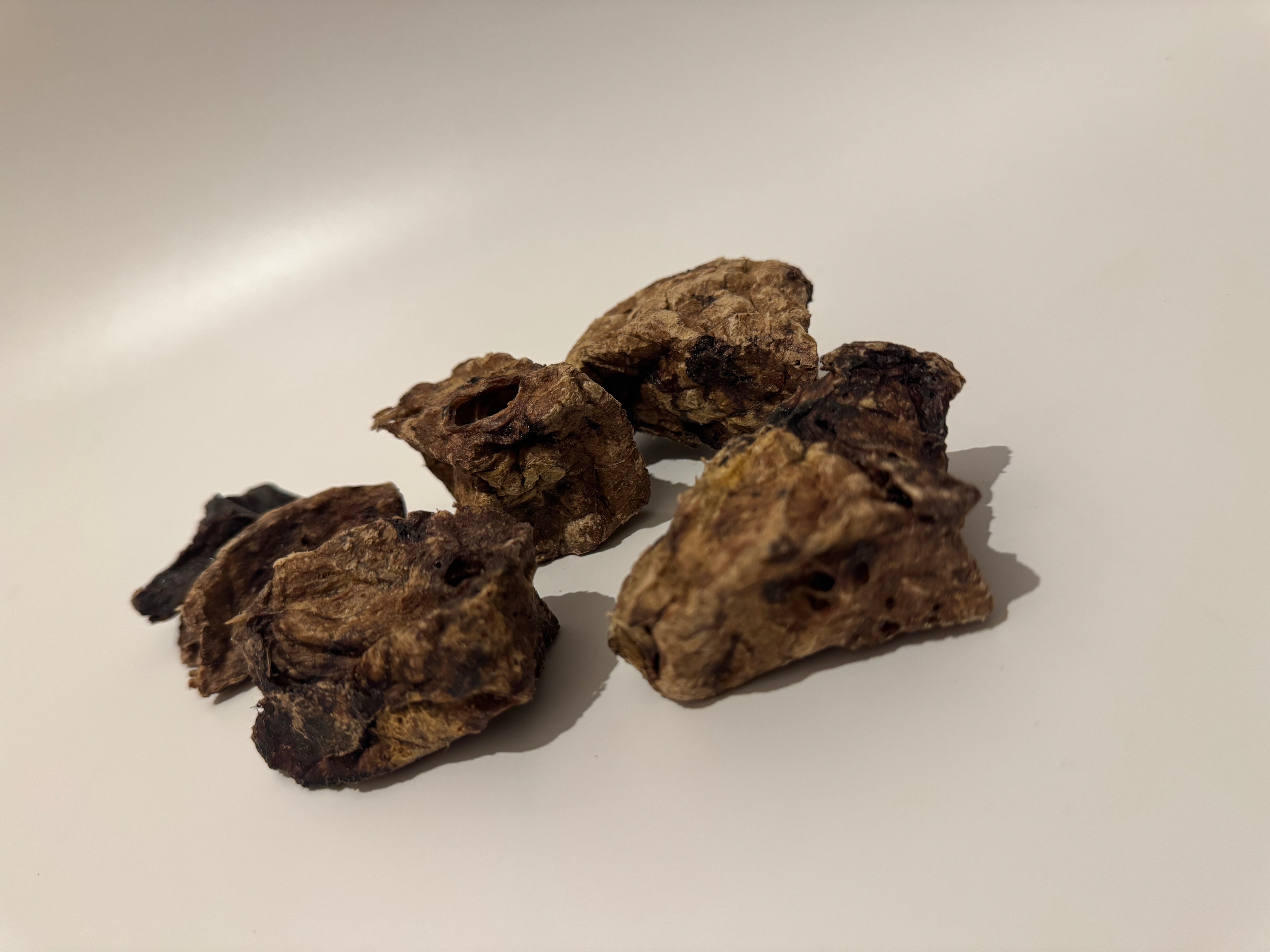 Pferde Lungenwürfel Maxi