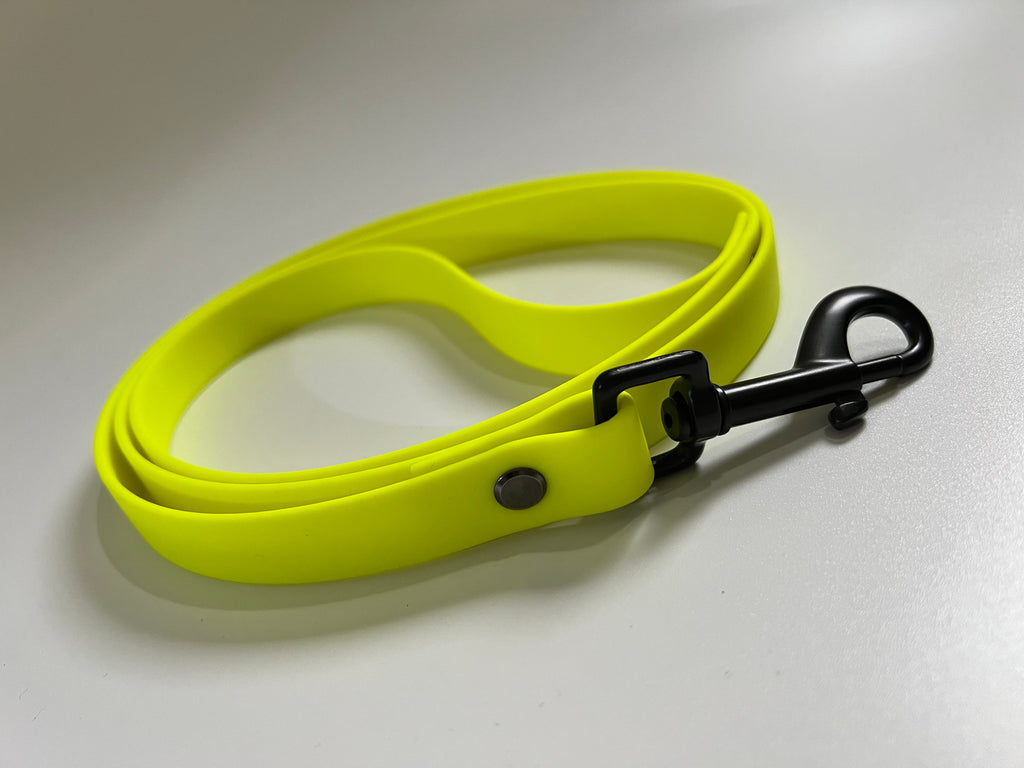 Sofortkauf "Neon" Leine aus Biothane