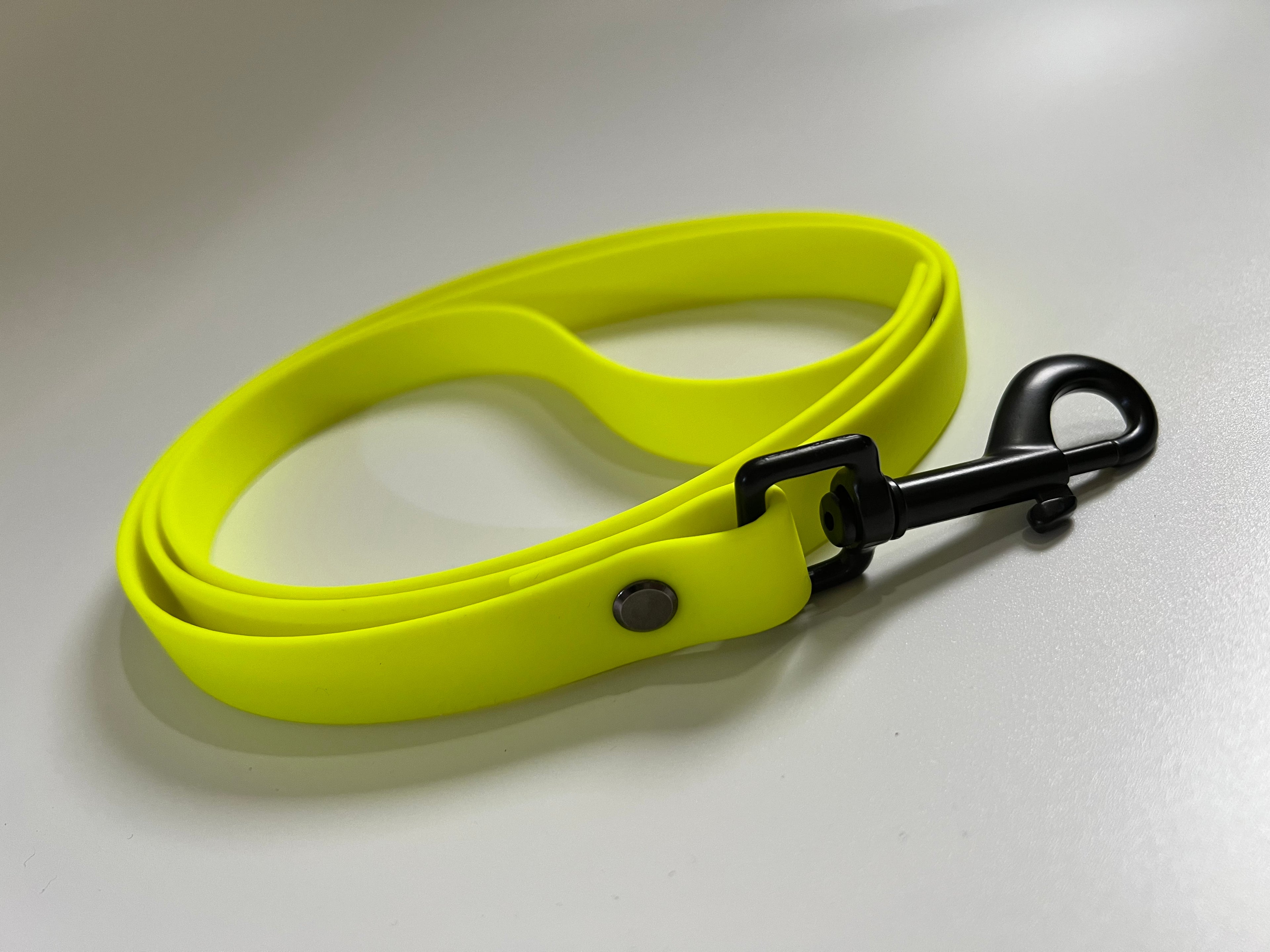 Sofortkauf "Neon" Leine aus Biothane