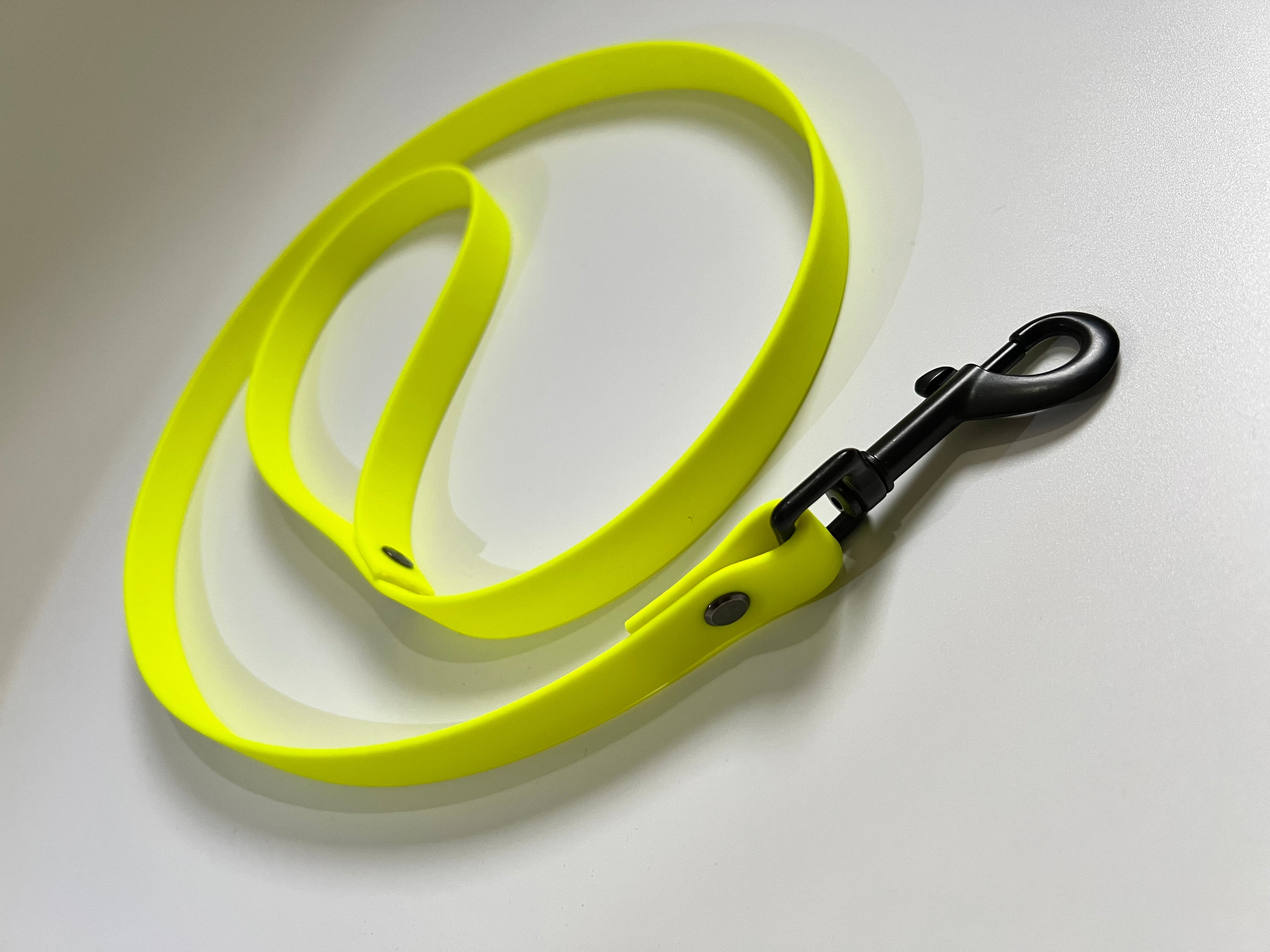 Sofortkauf "Neon" Leine aus Biothane